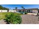 Expansive backyard with lush lawn, a sparkling pool, and ample space for gardening and recreation at 3516 W Brown St, Phoenix, AZ 85051