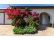 Lush bougainvillea frames the arched entry of this charming home, adding vibrant color and curb appeal at 3516 W Brown St, Phoenix, AZ 85051