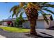 Charming home showcasing lush landscaping, a beautiful palm tree, and solar panels for energy efficiency at 3516 W Brown St, Phoenix, AZ 85051