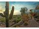 Lush desert landscaping in the front yard with mature cacti and mountain views at 38199 N Tranquil Way, Carefree, AZ 85377