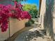 Landscaped side yard with desert plants and walkway at 4867 E Windstone Trl, Cave Creek, AZ 85331