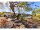 Landscaped backyard with desert plants, stone pathway, and pool, creating a serene outdoor oasis at 544 W Thunderbird Rd, Phoenix, AZ 85023