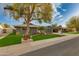 Well-maintained home featuring a lush front yard with mature trees and tasteful landscaping at 8229 E Devonshire Ave, Scottsdale, AZ 85251