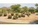Explore playground and recreational space with swing-sets and play structures in the neighborhood park at 1731 E Evans Dr, Phoenix, AZ 85022