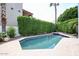 Enjoy this backyard pool surrounded by lush greenery, offering a refreshing oasis at 1731 E Evans Dr, Phoenix, AZ 85022