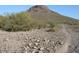 Mountain view property with natural desert landscape, offering a serene and picturesque setting at 1731 E Evans Dr, Phoenix, AZ 85022