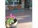 Cozy outdoor patio featuring wicker chairs, a rug, and potted flowers, perfect for relaxing in the Arizona sun at 17946 W Buena Vista Dr, Surprise, AZ 85374