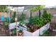 Well maintained garden featuring garden beds, lush plants, and a trellis at 1822 N Sunaire Cir, Mesa, AZ 85205