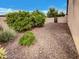 Low-maintenance backyard featuring gravel, trees, and desert landscaping at 2088 N 164Th Ave, Goodyear, AZ 85395