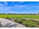 Expansive green field surrounded by well-maintained landscaping and neighborhood homes at 20941 E Pecan Ln, Queen Creek, AZ 85142