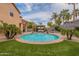 Lush backyard with a pool surrounded by mature landscaping and green turf at 2939 W Sunshine Butte Dr, San Tan Valley, AZ 85144