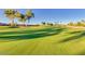 Scenic view of the golf course with mature trees and meticulously maintained green at 3150 N 150Th Dr, Goodyear, AZ 85395