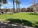 A lush green community lawn with palm trees and several homes in the background at 5436 W Chisum Trl, Phoenix, AZ 85083