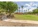 Expansive community greenspace with mature trees, pathways, and recreational facilities at 5436 W Chisum Trl, Phoenix, AZ 85083