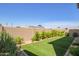 Spacious backyard featuring lush artificial grass and a well-maintained garden, perfect for outdoor relaxation at 8026 S 6Th Dr, Phoenix, AZ 85041