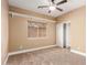 Bedroom featuring a window, carpet, ceiling fan, and open closet with shelving at 1072 E Jade Dr, Chandler, AZ 85286