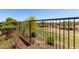 A well-kept backyard featuring a wrought-iron fence, lush greenery, and desert landscaping at 13749 W Amberwing St, Peoria, AZ 85383