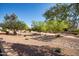 Beautiful landscaping featuring rocks, walking paths, mature trees, and manicured shrubs offering a serene outdoor environment at 13841 W Nogales Dr, Sun City West, AZ 85375