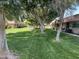 Serene community space featuring mature trees, lush lawns, and walking paths creating a park-like environment for residents at 141 N Date -- # 7, Mesa, AZ 85201