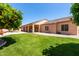 Spacious backyard with lush green lawn, covered patio, and mature citrus trees at 2528 N Ashbrook Cir, Mesa, AZ 85213