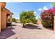Backyard view showcasing green grass, trees, patio, and desert landscaping at 2528 N Ashbrook Cir, Mesa, AZ 85213