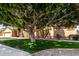 Lush front yard featuring manicured grass, desert landscaping, and mature trees at 2528 N Ashbrook Cir, Mesa, AZ 85213