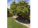 View of the backyard with lawn and orange trees at 2528 N Ashbrook Cir, Mesa, AZ 85213