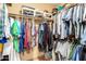 Organized walk-in closet with ample hanging space and shelving for storage at 3308 N Nebraska St, Chandler, AZ 85225