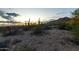 Desert landscape view showcasing cacti, mountains, and a picturesque sunset sky at 4632 S Alamos Way, Gold Canyon, AZ 85118