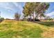 Expansive backyard with mature trees provides ample space for outdoor activities and relaxation at 2017 E Willis Rd, Gilbert, AZ 85297