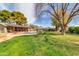 Expansive backyard featuring a pool, mature trees, and lush green lawn at 2017 E Willis Rd, Gilbert, AZ 85297