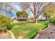 Picturesque backyard with green lawn, mature trees, swimming pool and covered patio at 2017 E Willis Rd, Gilbert, AZ 85297