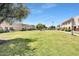 Expansive green common area with mature trees and well-maintained landscaping in a residential community at 6953 E Osborn Rd # F, Scottsdale, AZ 85251