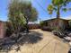 Lush backyard with desert landscaping and mature trees at 534 E Pebble Beach Dr, Tempe, AZ 85282