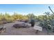 Desert landscaping with native plants and a stone path at 32868 N 69Th St, Scottsdale, AZ 85266