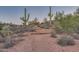 Desert hiking trail with natural landscaping offers an outdoor experience for residents at 6887 E Hacienda La Colorada Dr, Gold Canyon, AZ 85118