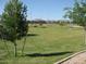 Expansive community green space with young trees and mountain views offers a serene retreat for residents at 10136 E Southern Ave # 2048, Mesa, AZ 85209
