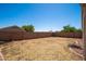 Good sized backyard with brick wall, gravel, and some landscaping at 11343 W Mccaslin Rose Ln, Surprise, AZ 85378