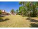 Lush backyard featuring mature trees providing shade and privacy at 1637 S Los Alamos Cir, Mesa, AZ 85204