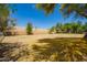 Large lot with open space and mature trees, offering a serene and natural setting at 1637 S Los Alamos Cir, Mesa, AZ 85204