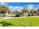 Community pool area enclosed with wrought iron fencing, decorative plants, and grassy surroundings at 2491 N 149Th Ln, Goodyear, AZ 85395