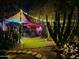 Backyard featuring ambient lighting, decorative cacti, a turfed area, and colorful canopies at 29972 N Bryce Trl, San Tan Valley, AZ 85144