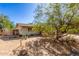 Backyard view featuring desert landscaping, perimeter fencing, and mature trees with a charming home at 411 N 111Th Pl, Mesa, AZ 85207