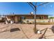 View of the backyard featuring the home's exterior and brick paver patio at 411 N 111Th Pl, Mesa, AZ 85207