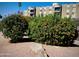 Exterior shot featuring the building with nice landscaping and vibrant orange flowers at 425 S Parkcrest -- # 335, Mesa, AZ 85206