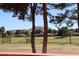 Scenic view of a golf course and mountains with towering trees at 4303 E Cactus S Rd # 229, Phoenix, AZ 85032