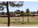 Beautiful golf course view showcasing mature palm trees and mountain views in the distance at 4303 E Cactus S Rd # 229, Phoenix, AZ 85032