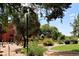Beautiful grounds with desert landscaping and manicured paths surrounding a red building at 4303 E Cactus S Rd # 229, Phoenix, AZ 85032