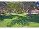 Lush community green space with mature trees, providing shade and a park-like atmosphere at 5808 E Brown Rd # 60, Mesa, AZ 85205