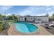 Backyard featuring a pristine pool, outdoor kitchen, and lounge area at 15028 N 9Th St, Phoenix, AZ 85022